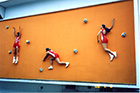 Volleyball Sport Wall